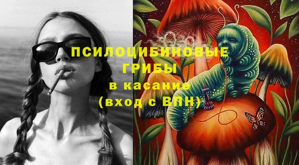 молекула духа Карпинск