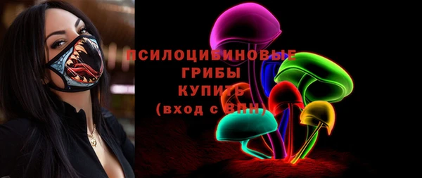 молекула духа Карпинск