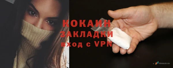 молекула духа Карпинск