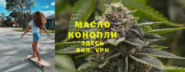 гидра Снежногорск
