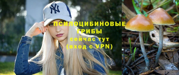 молекула духа Карпинск