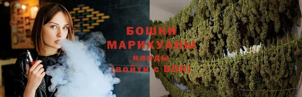 молекула духа Карпинск